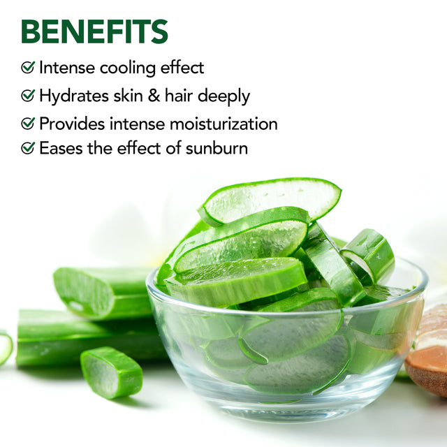 Botanic Hearth Aloe Vera Aloe Anytime Gel for Face, Skin & Hair – 250ml